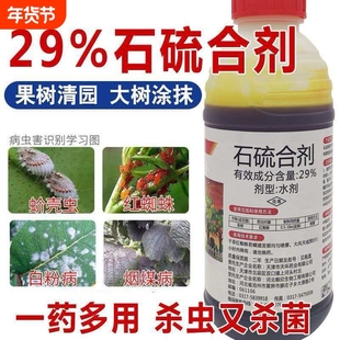 石硫合剂果树清园剂盆景舍利涂白剂白粉病红蜘蛛杀虫杀菌剂冬季