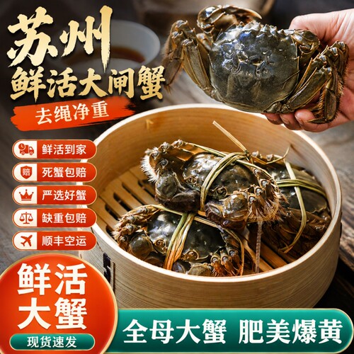 苏州特产螃蟹鲜活大闸蟹公可全母4两去绳净重顺丰中秋10只礼盒装