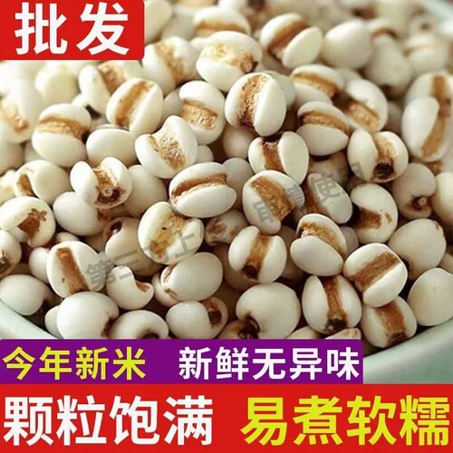 炒薏米开袋即食薏仁米薏米仁柴火炒熟薏仁爆米花薏苡仁官方旗舰店