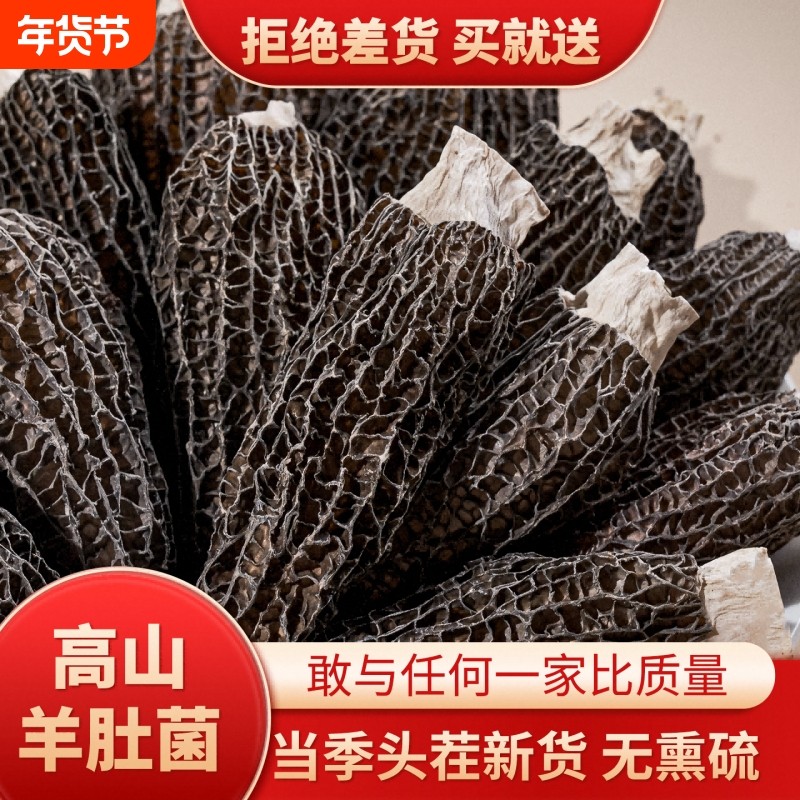 2025新羊肚菌干货头茬干羊肚蘑菇牛肚菌菇汤料包煲汤火锅底料食材,粮油调味/速食/干货/烘焙,羊肚菌,淘宝优惠券,粉丝福利购,淘宝优惠卷