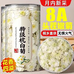 桐乡杭白菊白菊花特级正品黄山正宗去火养生茶泡水菊花茶大朵袋装