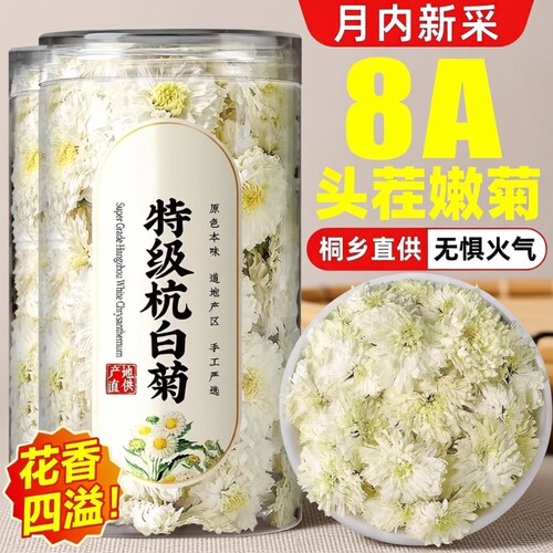 桐乡杭白菊白菊花特级正品黄山正宗去火养生茶泡水菊花茶大朵袋装