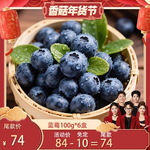 【香菇超级年货节】云南蓝莓新鲜高端水果顺丰京东空运整箱包邮