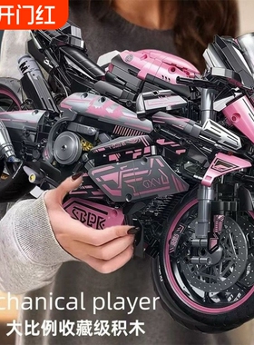 宝马双R摩托车M1000RR积木机械组成年高难度益智拼装模型玩具男孩