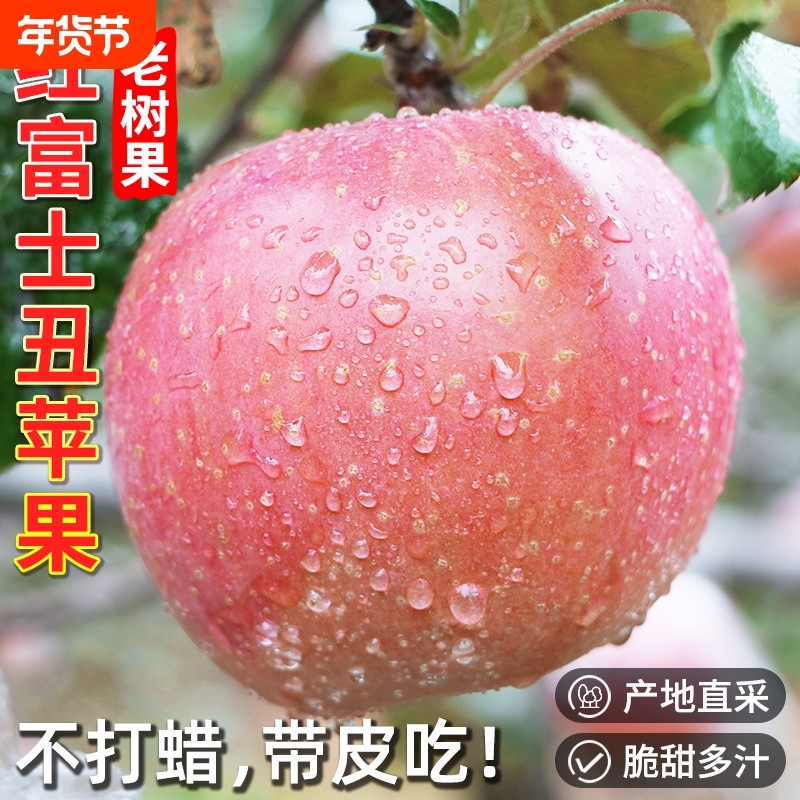正宗陕西红富士苹果水果新鲜冰糖心应当季高山整箱孕妇包邮脆甜,水产肉类/新鲜蔬果/熟食,苹果,淘宝优惠券,粉丝福利购,淘宝优惠卷