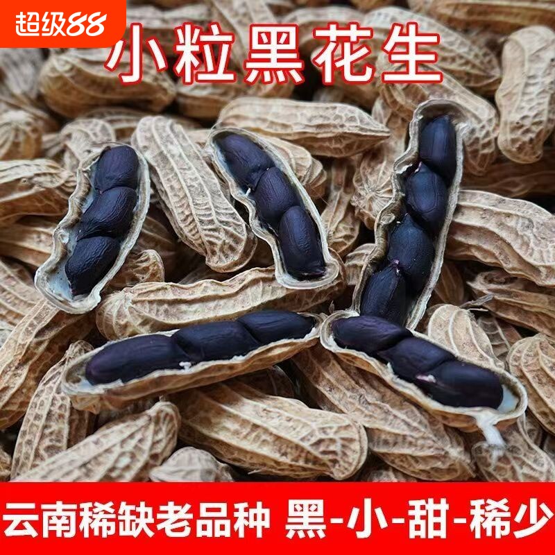 云南富硒黑花生带壳2025年新货晒干特产黑皮花生米老品种七彩
