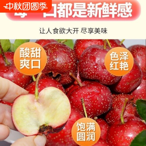 新鲜山楂红果雪球棉球冰糖葫芦原料自然成熟酸甜水果现摘大果批发