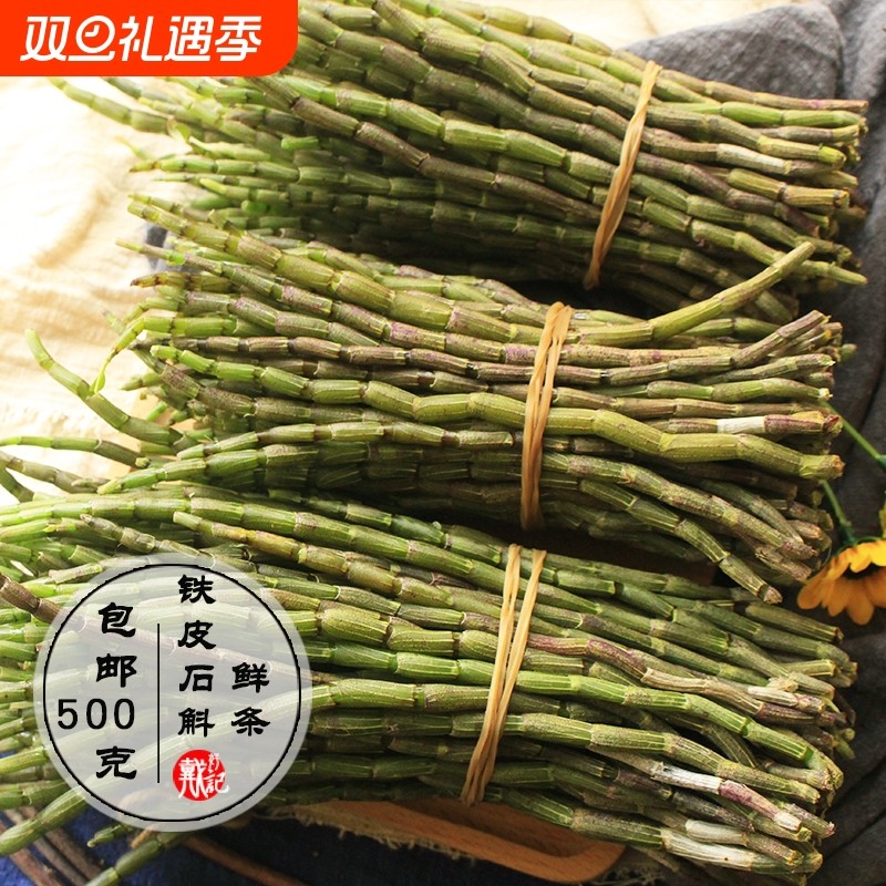 云南新鲜铁皮石斛鲜条精选四年生石斛铁皮枫斗正宗材礼盒霍山