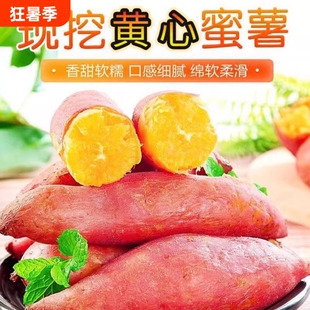 红薯番薯地瓜新鲜黄心红薯农家沙地黄心农家自种现挖黄心香薯山芋