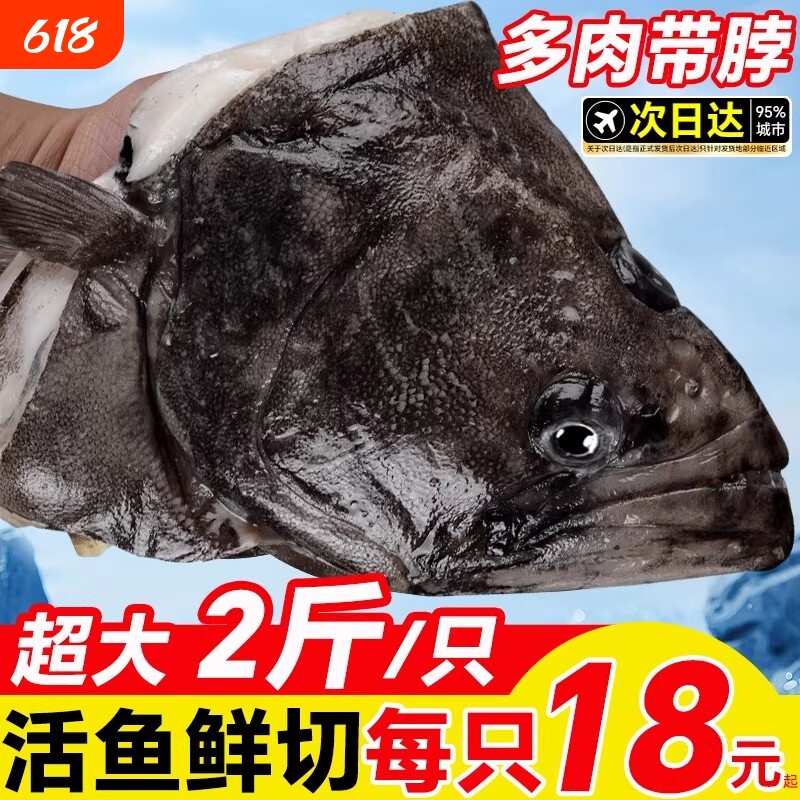 深海鲽鱼整条蝶鱼中段碟鱼新鲜冷冻海水鱼偏口鱼鸦片鱼比目鱼鲜活