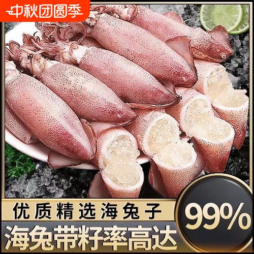 新鲜满籽海兔冷冻籽乌新鲜墨鱼仔带籽小鱿鱼乌贼带籽笔管鱼纯籽