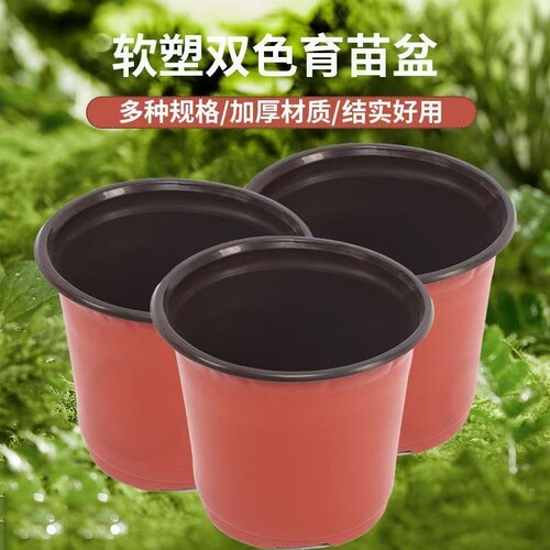加厚双色盆草莓多肉花盆营养钵扦插育苗花卉盆绿植盆塑料底部园艺