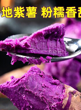 紫薯新鲜板栗红薯番薯地瓜
