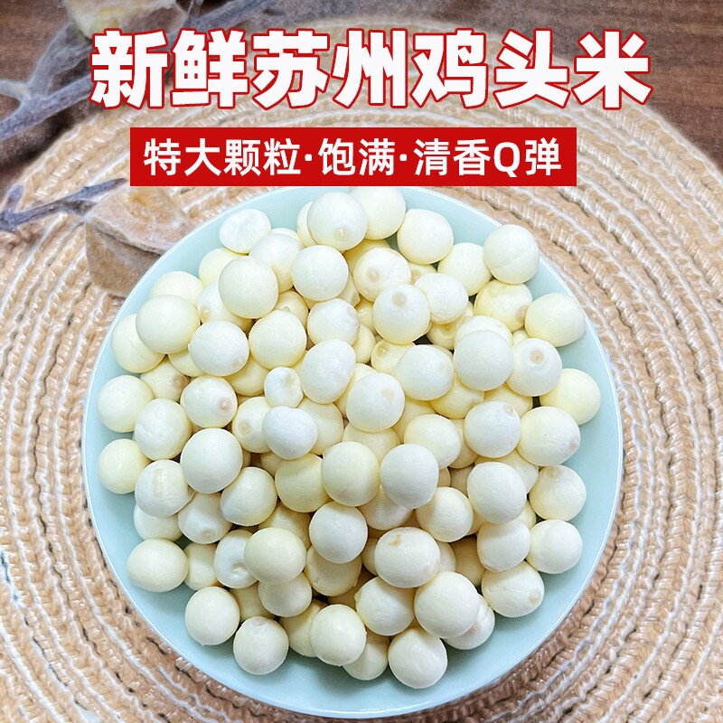 农产直发苏州鸡头米大颗粒新鲜2025特产鲜芡实鸡米头非手剥干货 - 实物图