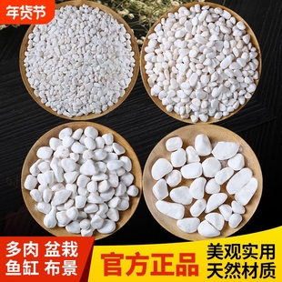 小白石子庭院造景鱼缸鹅卵石原石天然颗粒养花多肉盆栽装饰铺面石