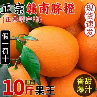 时令新鲜橙子江西赣南脐橙新鲜水果当季整箱正宗榨汁果冻橙冰糖甜