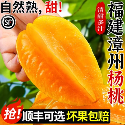 正宗福建下河杨桃老树果包邮直达