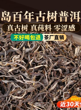 冰岛普洱茶生茶散茶口粮茶叶礼盒