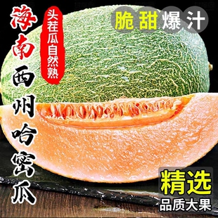 正宗哈密瓜海南水果新鲜精品果切当季蜜瓜网纹西州原产地现摘