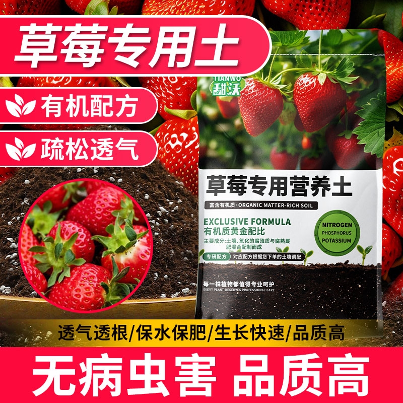 草莓专用营养土阳台草莓盆栽