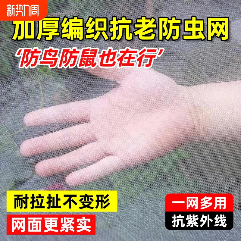蔬菜防虫网种菜专用纱网100目新型农用加厚网纱果树防蚊虫网罩