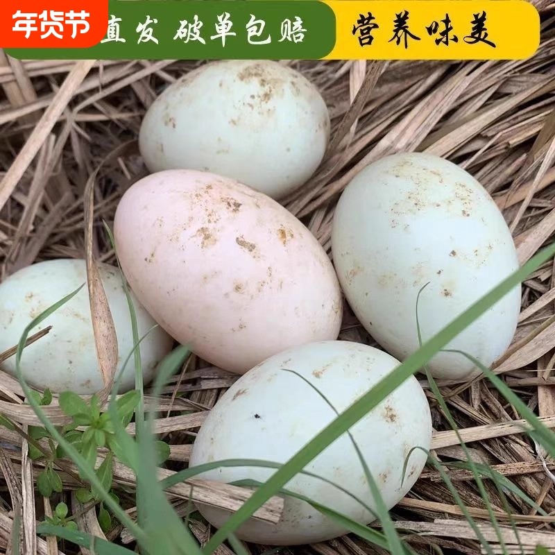 怡满村20枚【鄱阳湖散养鸭蛋】新鲜土鸭蛋散养鸭蛋现捡现发,水产肉类/新鲜蔬果/熟食,鸭蛋,淘宝优惠券,粉丝福利购,淘宝优惠卷