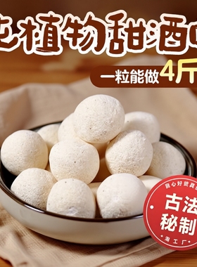 甜酒曲酒饼做糯米酒甜酒酿米酒醪糟月子酒酵母植物发酵黄酒大米