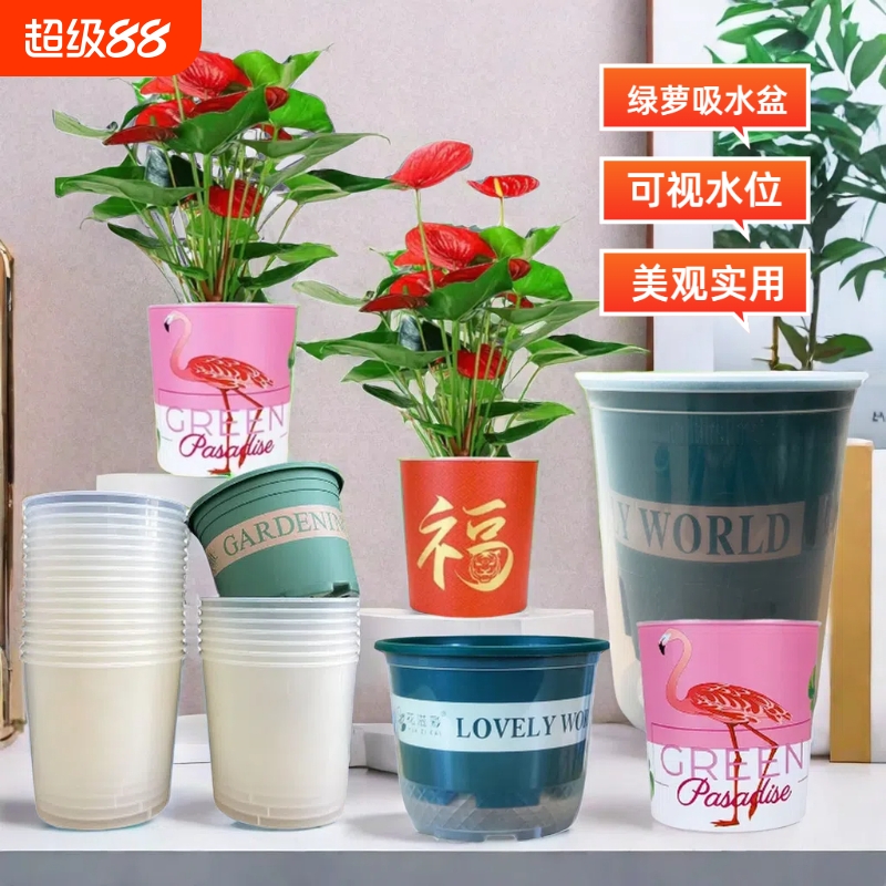 花盆吸水盆自动透明套盆懒人储水盆大号水培塑料专用绿萝双层阳台