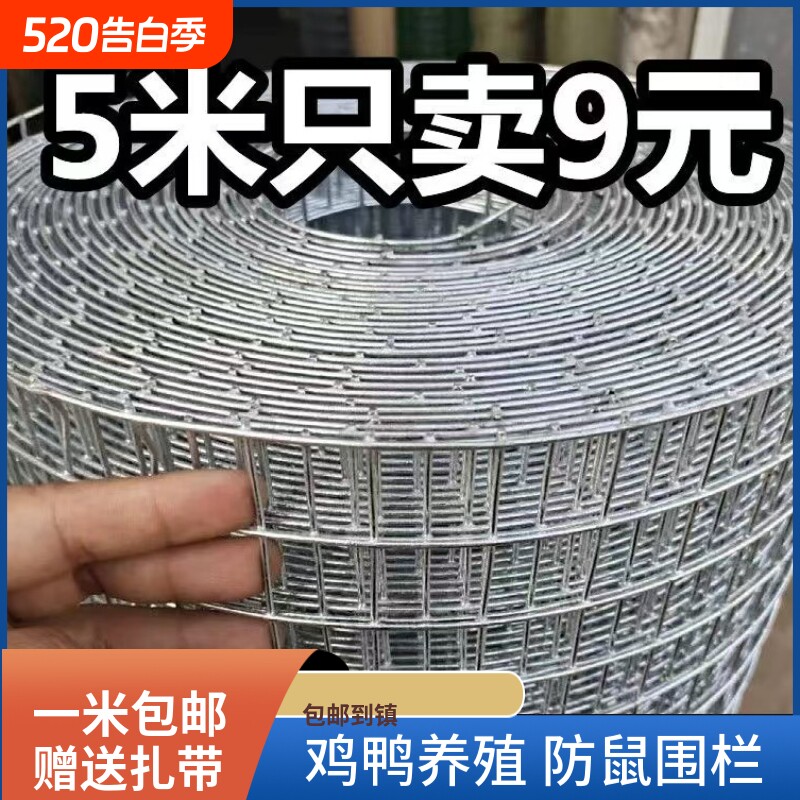 钢丝网镀锌铁丝网养鸡围栏隔离网养殖抹墙网栅栏鸡笼网防护宠物
