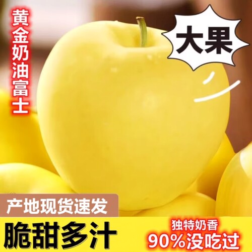 山东正宗黄金奶油富士苹果苹果脆甜奶油味新鲜孕妇水果现摘多汁