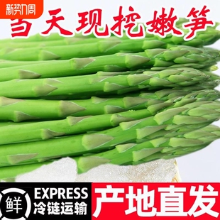 新鲜芦笋5斤芦笋产地直销现挖嫩青笋绿当季蔬菜龙须菜芦笋现挖