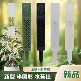 沃木达水苔柱龟背竹爬藤墙植物固定热植附生攀爬柱水台柱