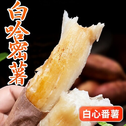 山东哈密冰糖薯|超1000次加购
