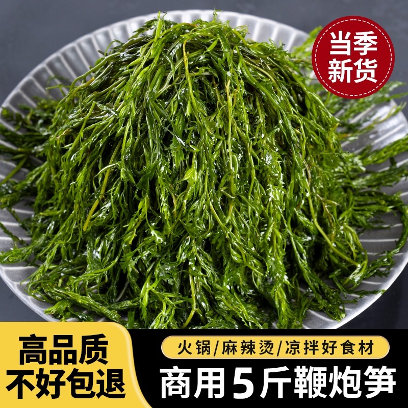炮鞭炮笋长寿菜半干货海藻菜马尾藻海草鞭炮菜火锅食材羊栖菜凉拌