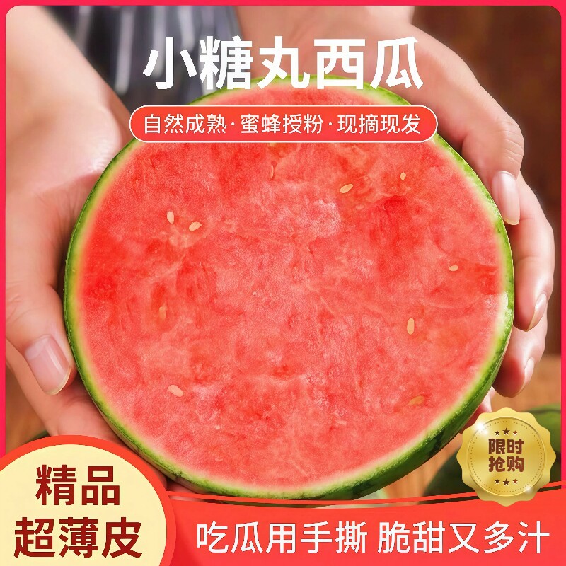 正宗糖丸小西瓜现摘当季新鲜水果皮薄超甜2k脆甜多汁时令整箱包邮