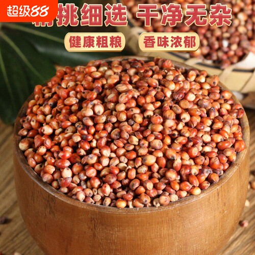 东红高粱酿酒酿醋梗五谷杂粮