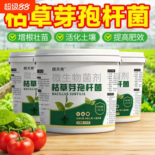 菌剂枯草芽孢杆菌有机蔬菜土壤菌肥微生物菌植物通用型育苗肥料