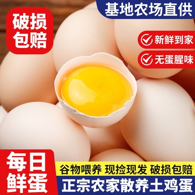 正宗农家散养土鸡蛋新鲜鸡蛋