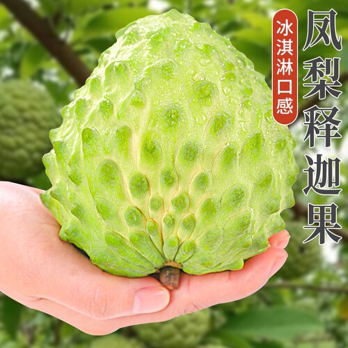 释迦果新鲜现摘当季水果顺丰包邮
