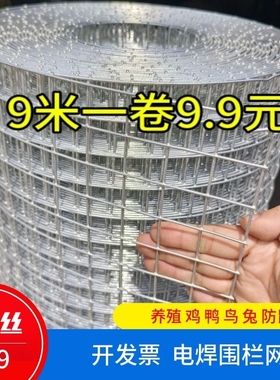 热镀锌铁丝网鸡鸭鸟兔牛羊防鼠网建筑网钢丝网片养殖围护栏网