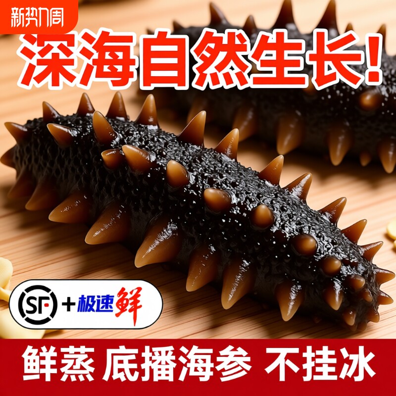 海参大连即食1斤2斤克冷冻海刺参500g水产滋补泡发年货深海食物