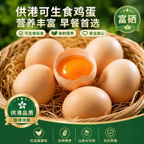 挞仙谷可生食新鲜鸡蛋无沙门氏菌