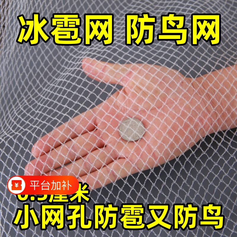 防雹网果园防鸟网樱桃葡萄嘉宝果树防小鸟用的网防冰雹专用防护网