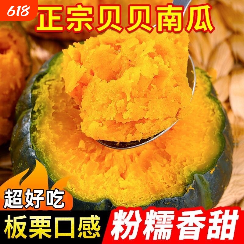 新鲜贝贝小南瓜粉面板栗味婴儿辅食惠和山东早餐当季时令水果香甜