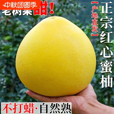 新鲜红心蜜柚4.5斤|超1000次加购