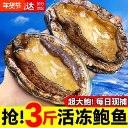 鲍鱼鲜活冷冻青岛崂山新鲜海鲜水产特大加热即食小鲍鱼汁商用速冻