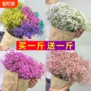 满天星轻奢干花花束客厅摆设装 饰摆件云南永生花风干插花真花摆放