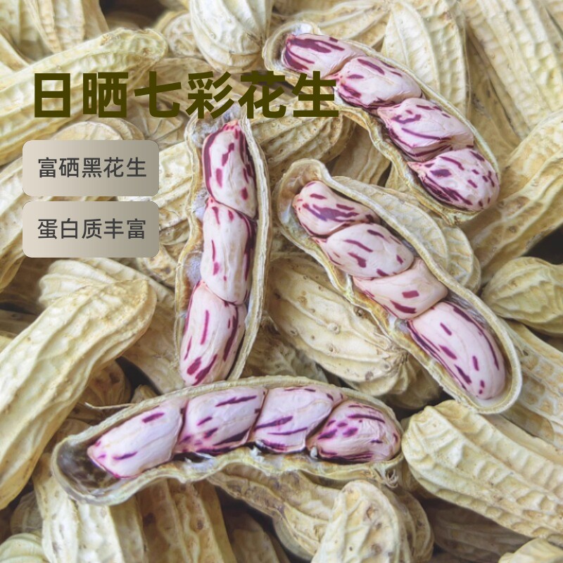七彩花生米云南特产带壳晒干2025花生种粒熟原味咸干水煮散装富硒
