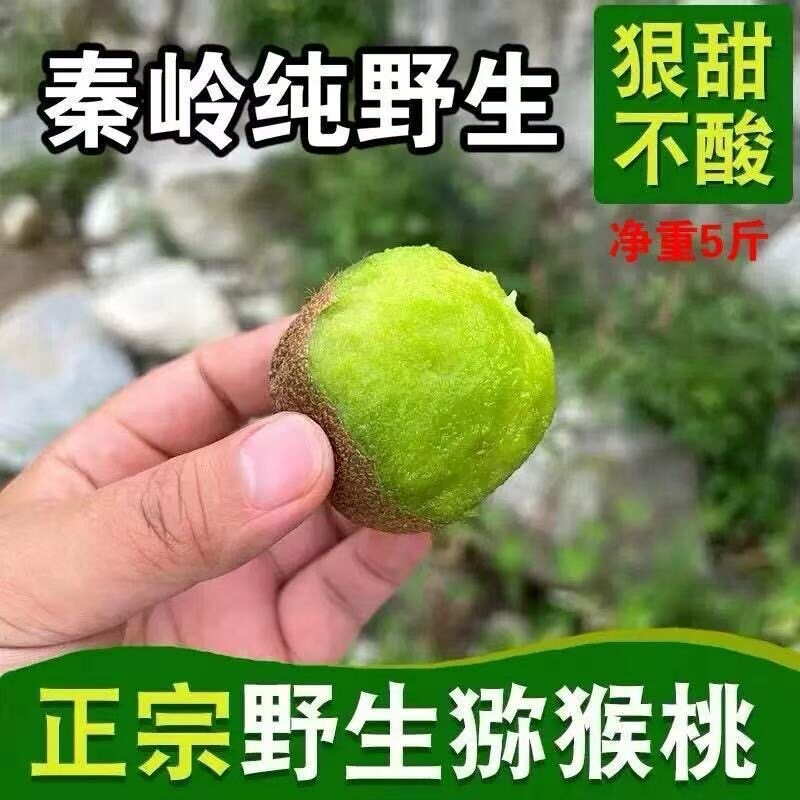 陕西秦岭纯野生猕猴桃特甜新鲜孕妇水果绿心当季整箱包邮绿心包邮图片