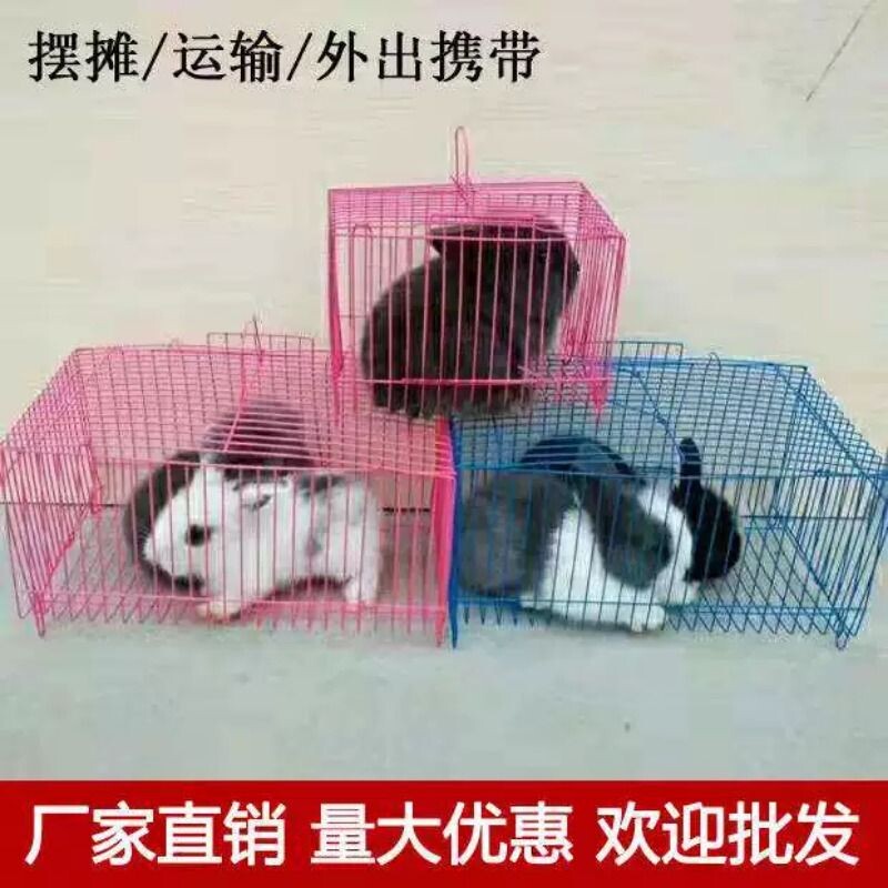小兔子笼子松鼠笼豚鼠笼小鸟笼鸽子笼小兔鹦鹉运输笼及配件外出